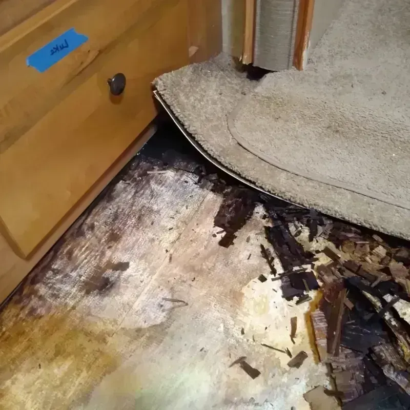 Best Wood Floor Water Damage Service in Biscayne Park, FL